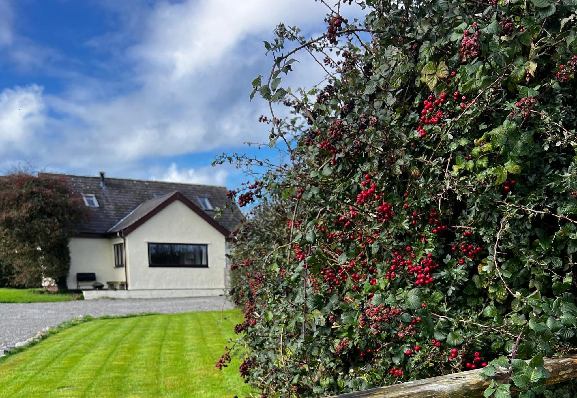 3 Bed Detached Cottage- Log Burner Mountain Views Beaumaris Luaran gambar